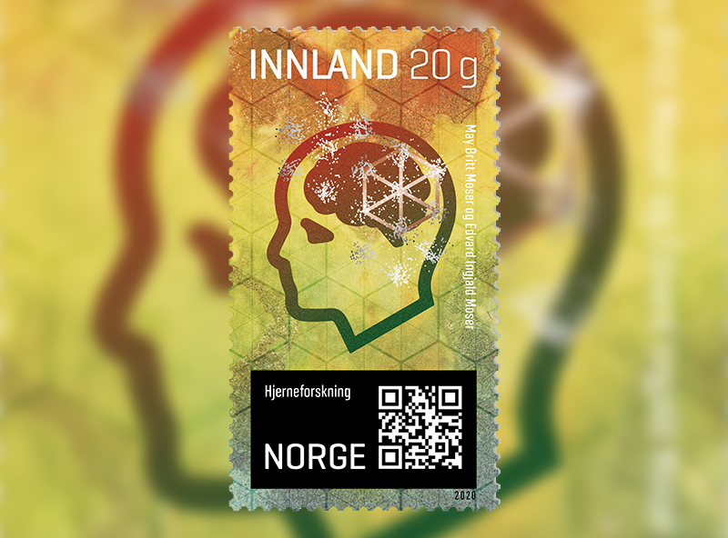 Frimerke med illustrasjon av nettverk i hjernen som danner stedssansen, hyller Moser-paret for Nobelpris